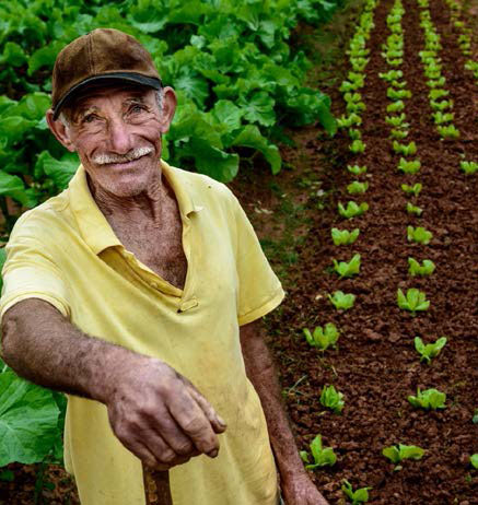 Farmer working in a field