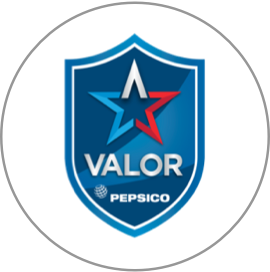 valor logo@2x