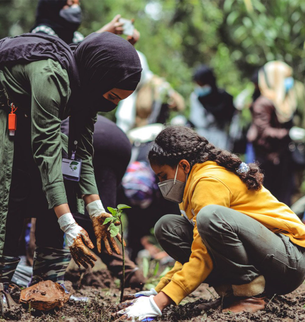 Volunteers planting flowers