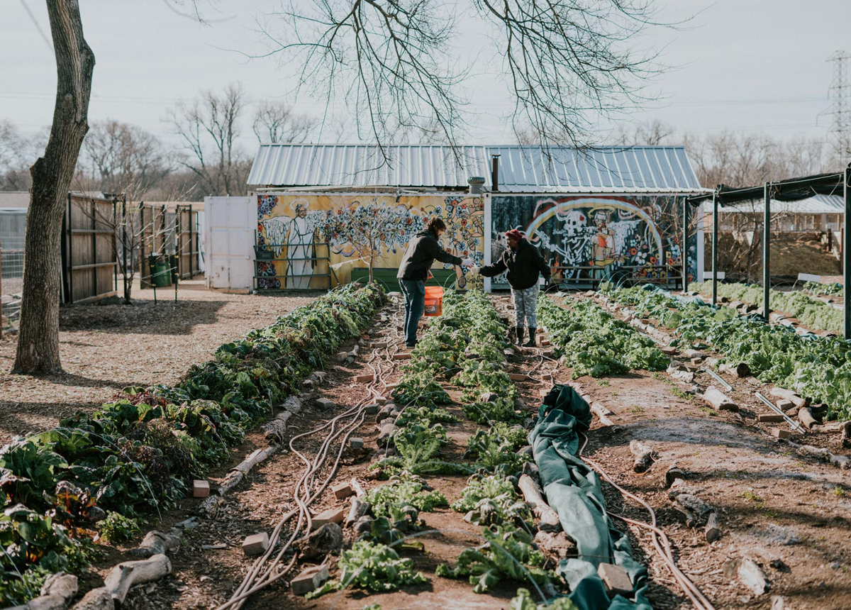 https://uk-pepsico-global.pepext.com/images/default-source/stories/bonton-farms-black-changemaker---stories_story-hero-image-1200x860.png