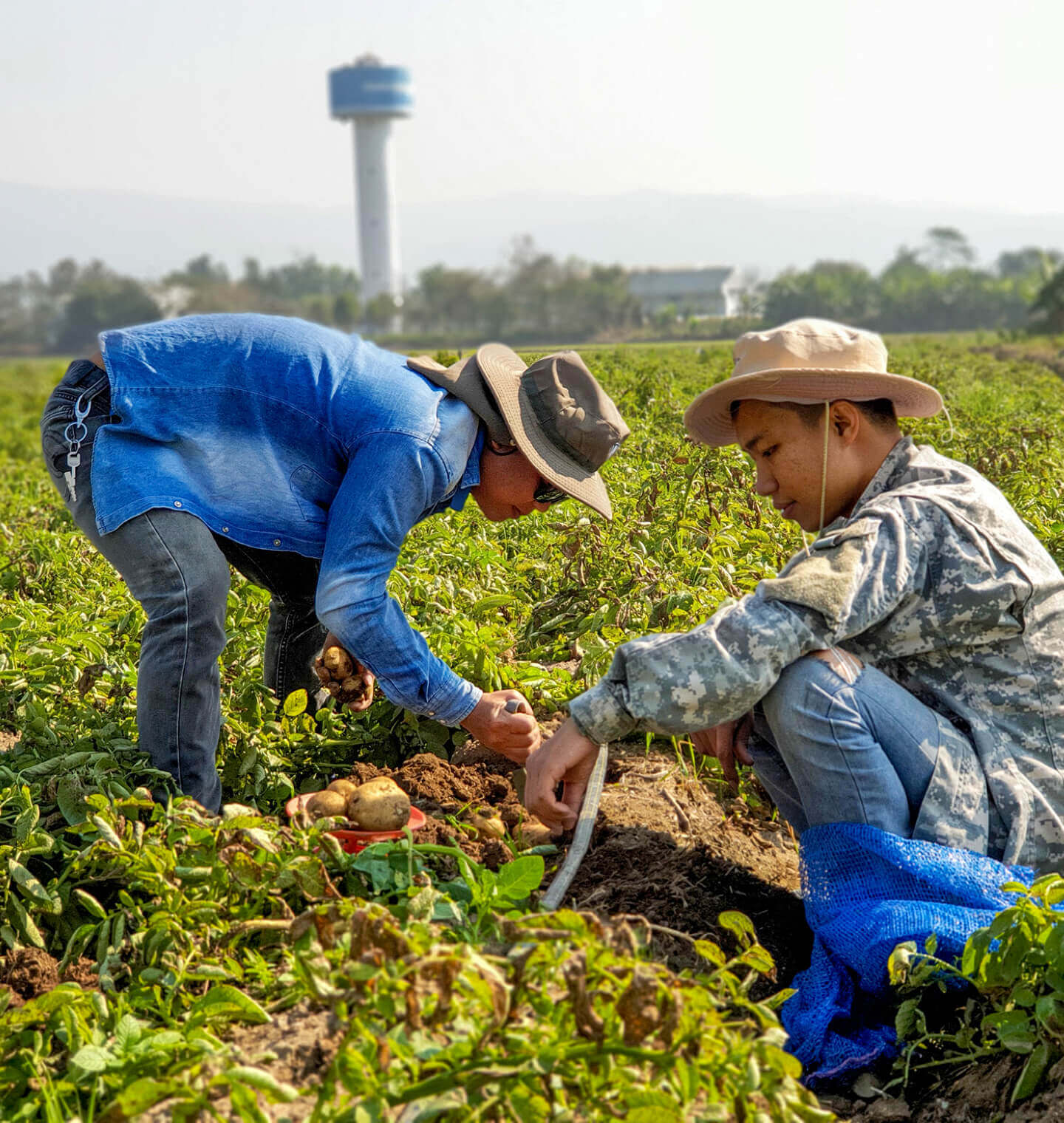 pep-pillars-agriculture-positive-ag-supplier-playbook